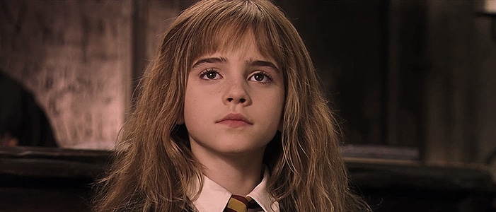 In which Harry Potter movie would you find this hair?