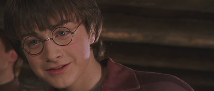 In which Harry Potter movie would you find this hair?