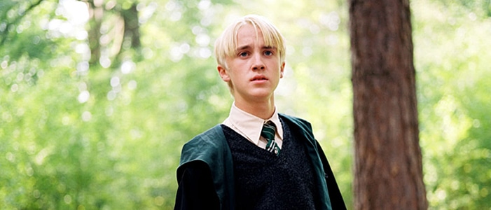 In which Harry Potter movie would you find this hair?