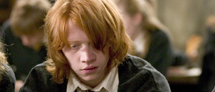 In which Harry Potter movie would you find this hair?