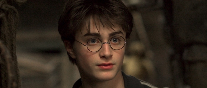 In which Harry Potter movie would you find this hair?