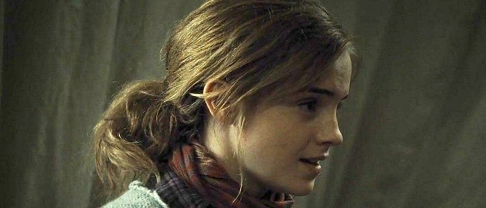 In which Harry Potter movie would you find this hair?