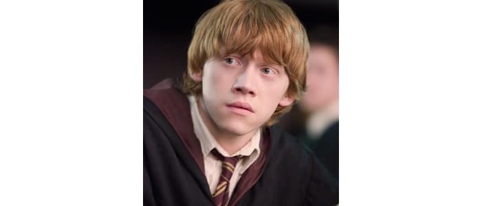 In which Harry Potter movie would you find this hair?