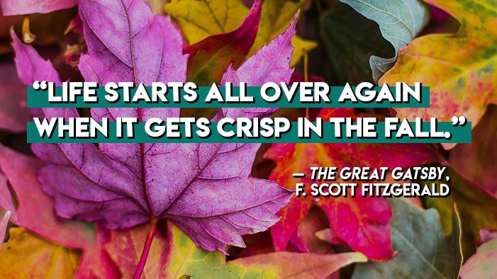 18 Literary Quotes That Will Get You Excited About Autumn