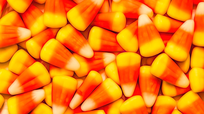 Pick Some Halloween Candy and We'll Tell You Which Literary Character You Are